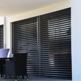 Moteur D'entraînement De Broche RAYWIN 600N 230V Course 300mm Pour Fenêtres Brise-soleil